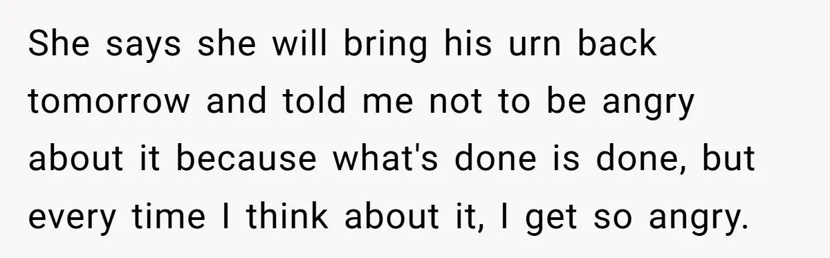 Ashes Stolen In Family Betrayal: Was Outrage Over MIL’s Theft Justified Or Overblown?