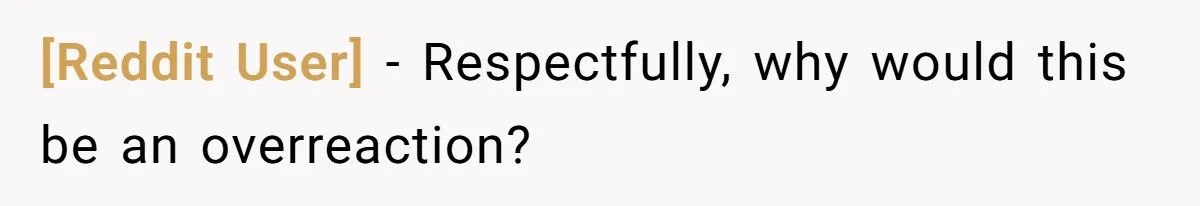 Ashes Stolen In Family Betrayal: Was Outrage Over MIL’s Theft Justified Or Overblown?