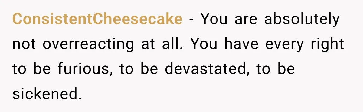 Ashes Stolen In Family Betrayal: Was Outrage Over MIL’s Theft Justified Or Overblown?