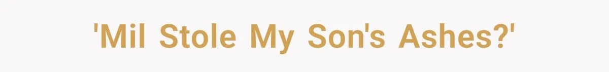 Ashes Stolen In Family Betrayal: Was Outrage Over MIL’s Theft Justified Or Overblown?