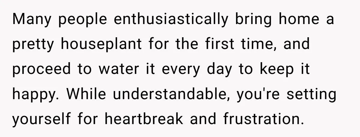 This One Common Mistake Is Destroying More Houseplants Than Anything Else