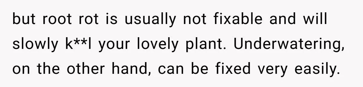 This One Common Mistake Is Destroying More Houseplants Than Anything Else