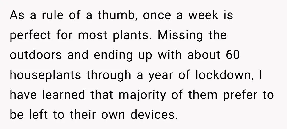 This One Common Mistake Is Destroying More Houseplants Than Anything Else