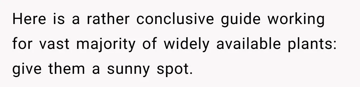This One Common Mistake Is Destroying More Houseplants Than Anything Else