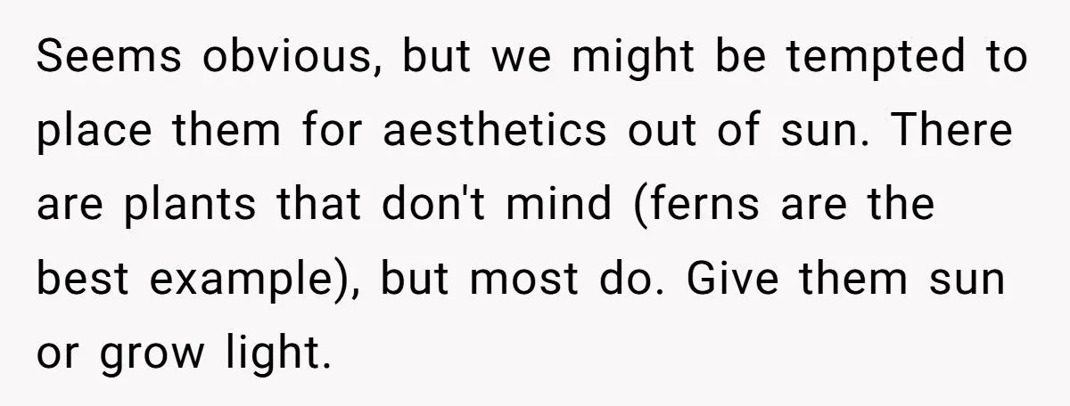 This One Common Mistake Is Destroying More Houseplants Than Anything Else