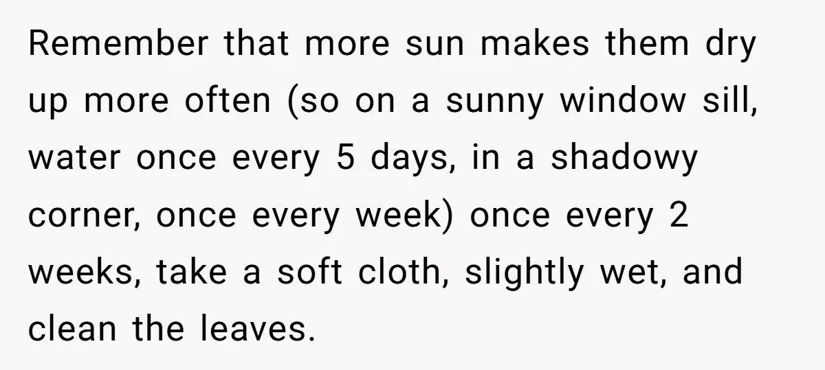 This One Common Mistake Is Destroying More Houseplants Than Anything Else