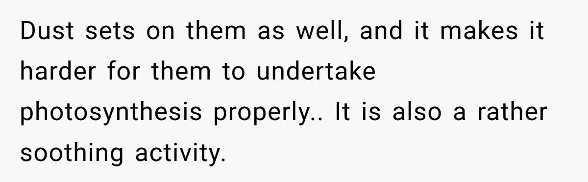 This One Common Mistake Is Destroying More Houseplants Than Anything Else