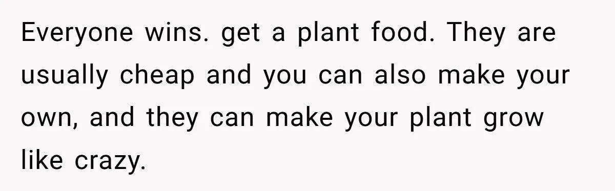 This One Common Mistake Is Destroying More Houseplants Than Anything Else