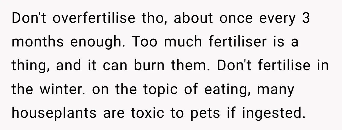 This One Common Mistake Is Destroying More Houseplants Than Anything Else