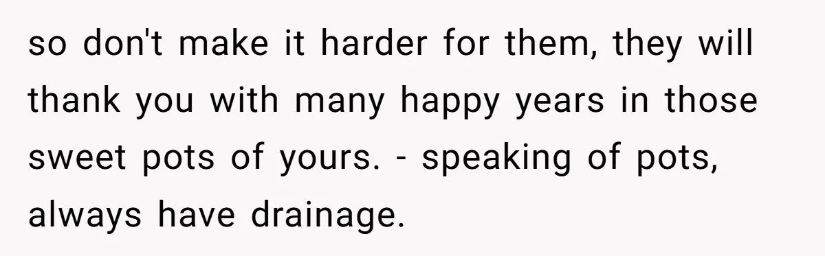 This One Common Mistake Is Destroying More Houseplants Than Anything Else