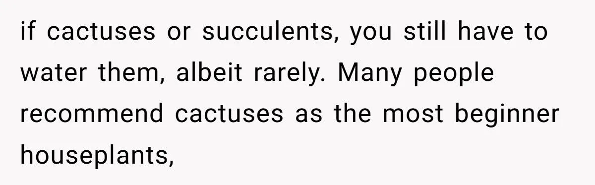 This One Common Mistake Is Destroying More Houseplants Than Anything Else