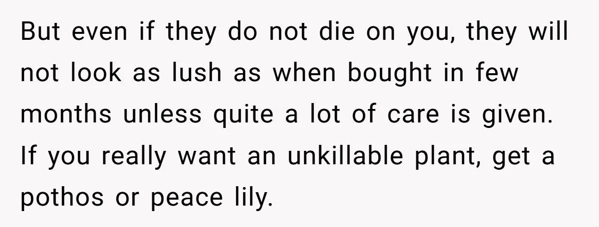 This One Common Mistake Is Destroying More Houseplants Than Anything Else