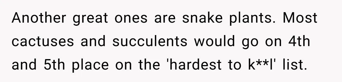 This One Common Mistake Is Destroying More Houseplants Than Anything Else