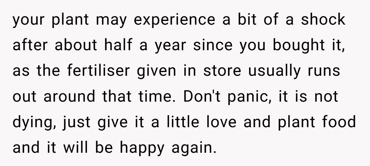 This One Common Mistake Is Destroying More Houseplants Than Anything Else