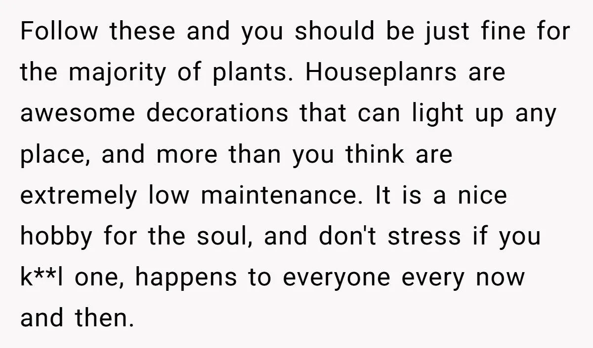 This One Common Mistake Is Destroying More Houseplants Than Anything Else