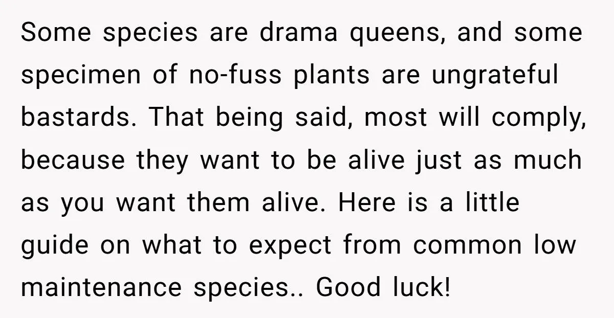 This One Common Mistake Is Destroying More Houseplants Than Anything Else