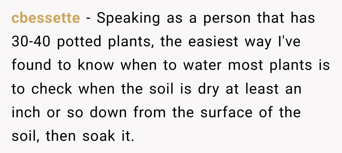 This One Common Mistake Is Destroying More Houseplants Than Anything Else