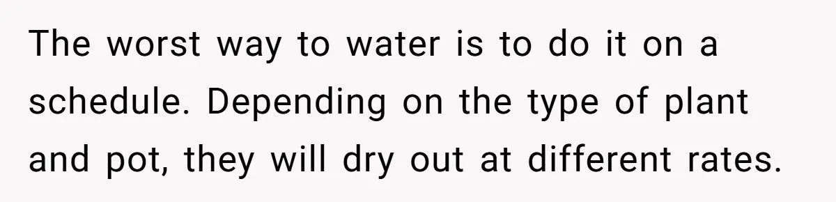 This One Common Mistake Is Destroying More Houseplants Than Anything Else