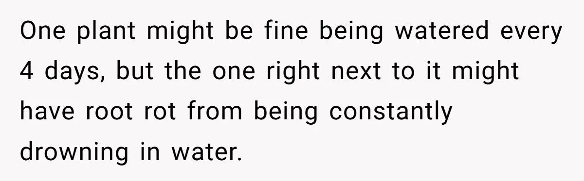 This One Common Mistake Is Destroying More Houseplants Than Anything Else