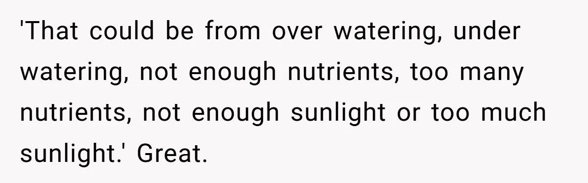 This One Common Mistake Is Destroying More Houseplants Than Anything Else
