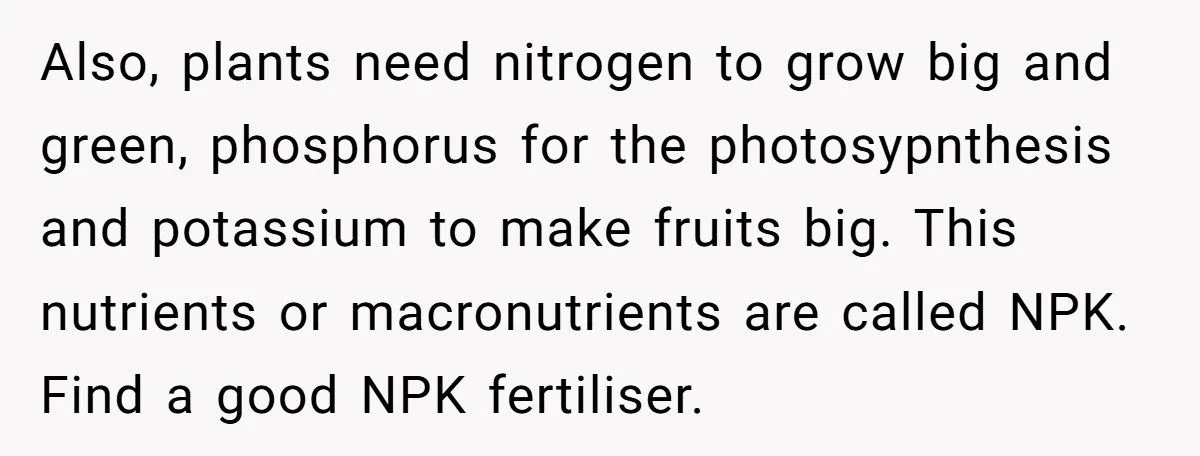 This One Common Mistake Is Destroying More Houseplants Than Anything Else