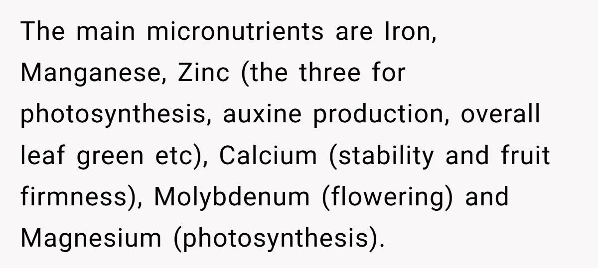 This One Common Mistake Is Destroying More Houseplants Than Anything Else
