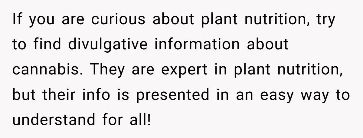 This One Common Mistake Is Destroying More Houseplants Than Anything Else