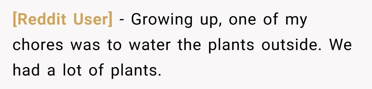 This One Common Mistake Is Destroying More Houseplants Than Anything Else