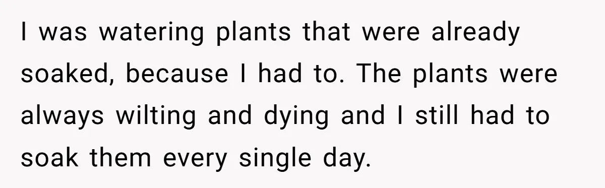 This One Common Mistake Is Destroying More Houseplants Than Anything Else