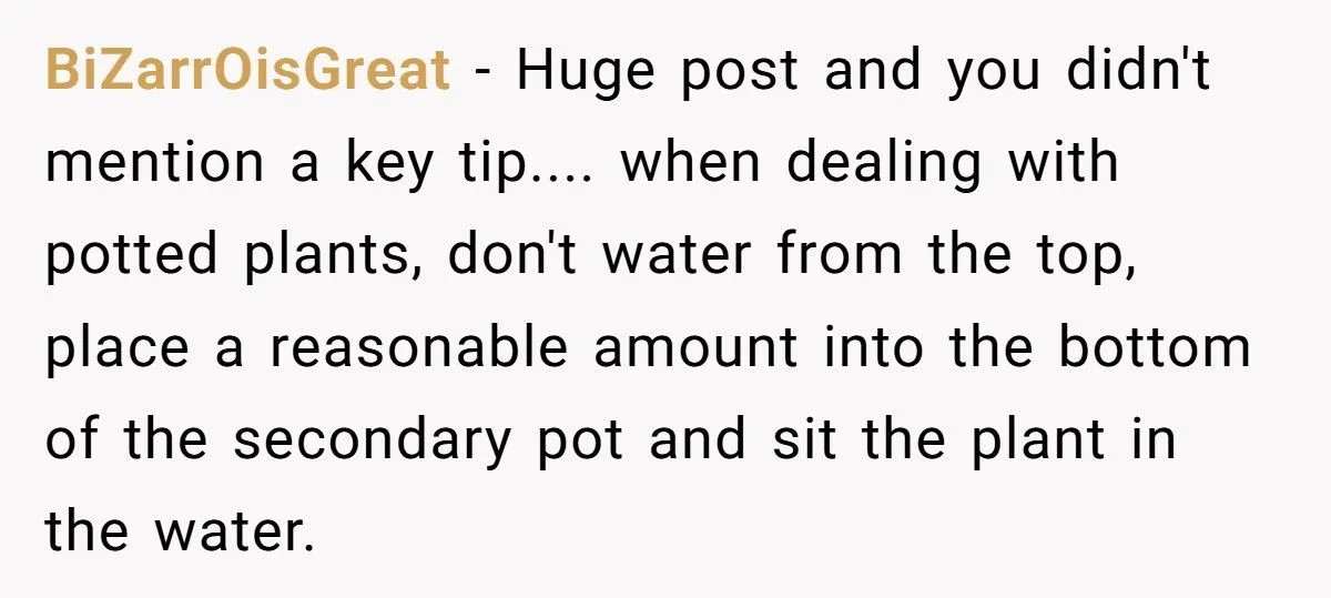 This One Common Mistake Is Destroying More Houseplants Than Anything Else