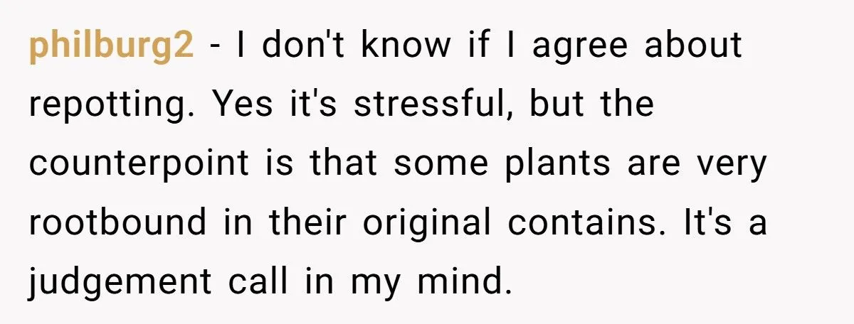 This One Common Mistake Is Destroying More Houseplants Than Anything Else