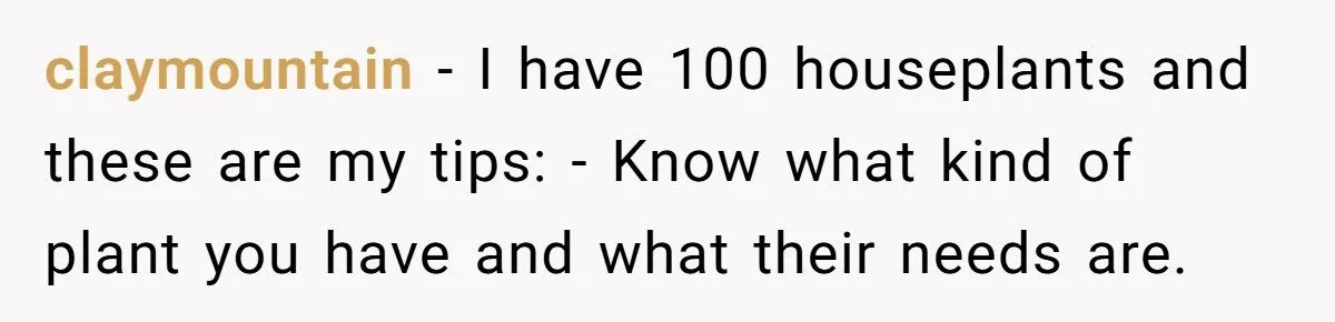 This One Common Mistake Is Destroying More Houseplants Than Anything Else