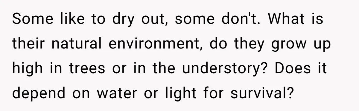 This One Common Mistake Is Destroying More Houseplants Than Anything Else