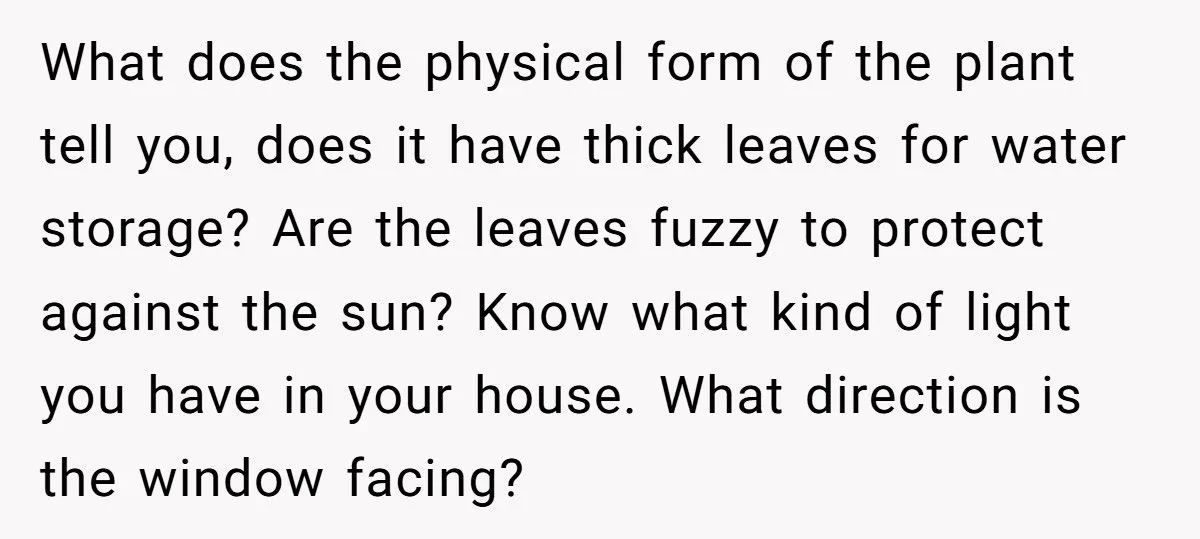 This One Common Mistake Is Destroying More Houseplants Than Anything Else