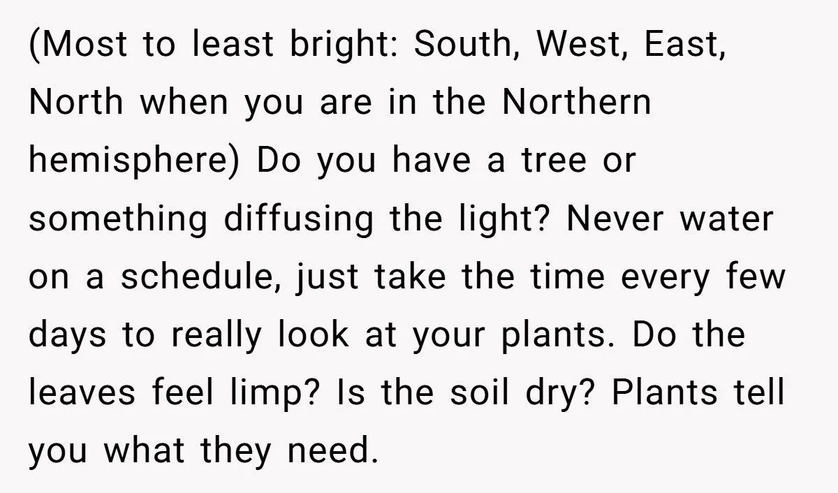 This One Common Mistake Is Destroying More Houseplants Than Anything Else