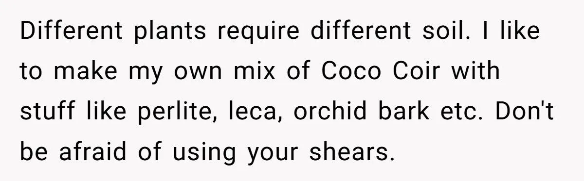 This One Common Mistake Is Destroying More Houseplants Than Anything Else