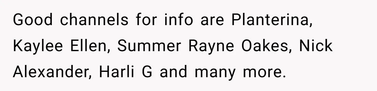 This One Common Mistake Is Destroying More Houseplants Than Anything Else
