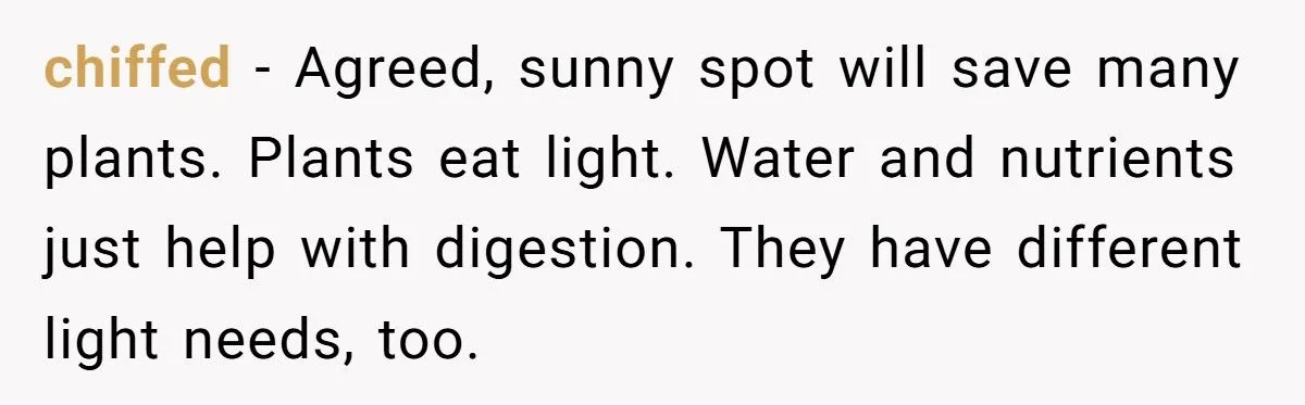 This One Common Mistake Is Destroying More Houseplants Than Anything Else