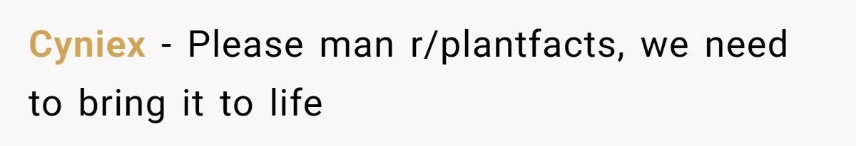 This One Common Mistake Is Destroying More Houseplants Than Anything Else