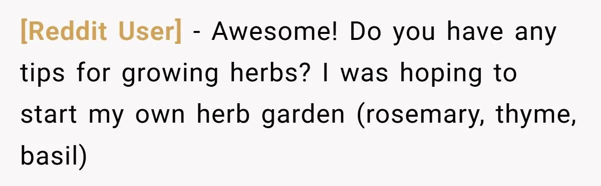 This One Common Mistake Is Destroying More Houseplants Than Anything Else