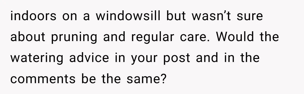 This One Common Mistake Is Destroying More Houseplants Than Anything Else