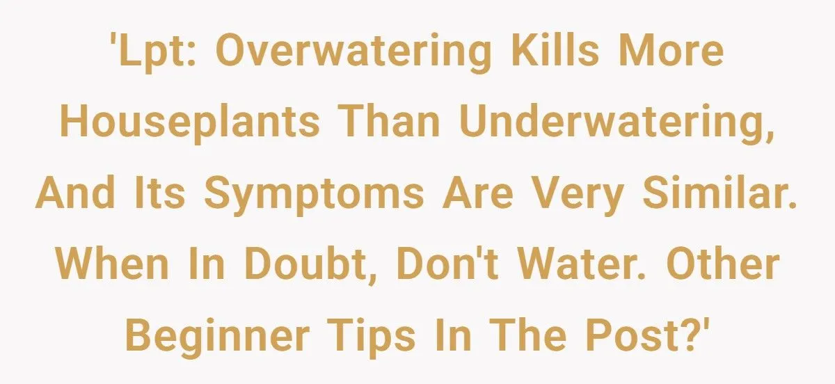 This One Common Mistake Is Destroying More Houseplants Than Anything Else