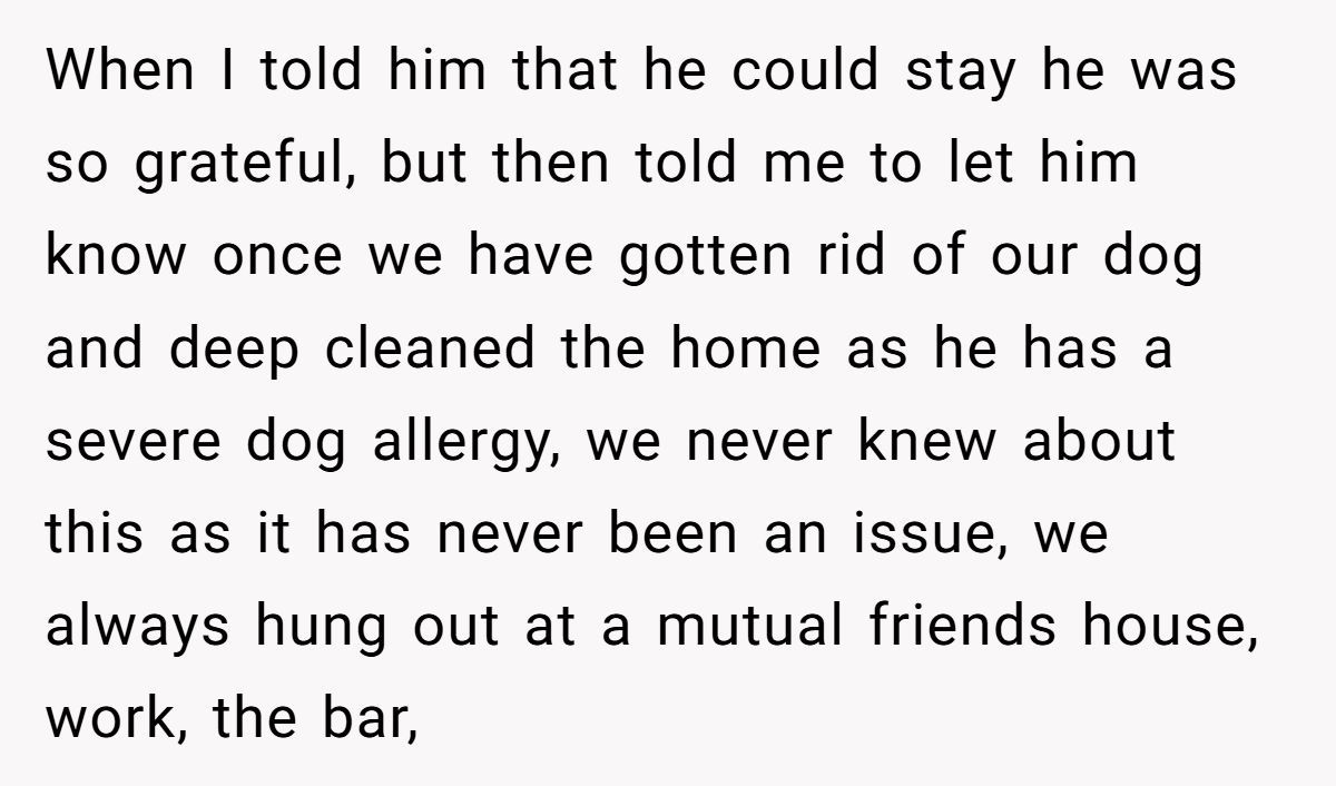 Man Won’t Kick Out His Dog for a Friend Going Through Divorce - Right Call or Cold-Hearted? Generated by Aubtu.biz