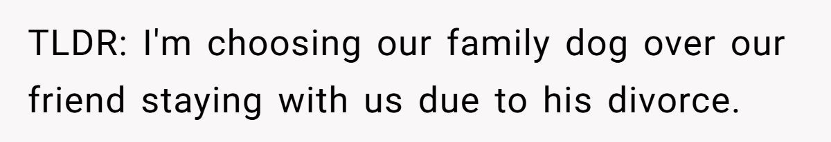 Man Won’t Kick Out His Dog for a Friend Going Through Divorce - Right Call or Cold-Hearted? Generated by Aubtu.biz