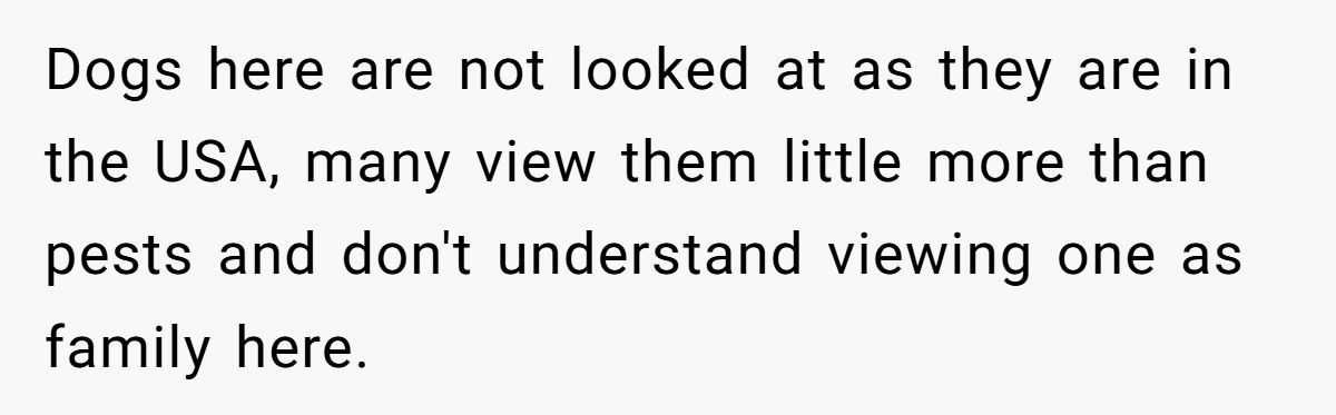 Man Won’t Kick Out His Dog for a Friend Going Through Divorce - Right Call or Cold-Hearted? Generated by Aubtu.biz