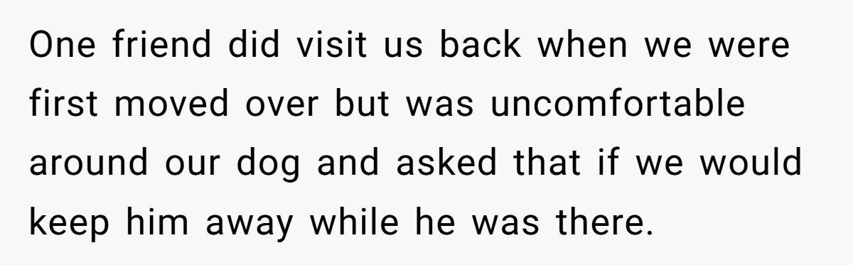 Man Won’t Kick Out His Dog for a Friend Going Through Divorce - Right Call or Cold-Hearted? Generated by Aubtu.biz