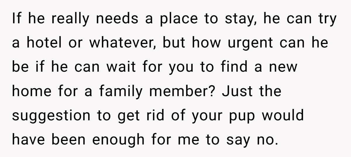 Man Won’t Kick Out His Dog for a Friend Going Through Divorce - Right Call or Cold-Hearted? Generated by Aubtu.biz