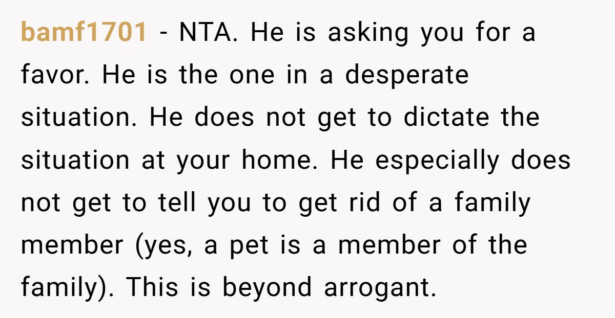 Man Won’t Kick Out His Dog for a Friend Going Through Divorce - Right Call or Cold-Hearted? Generated by Aubtu.biz