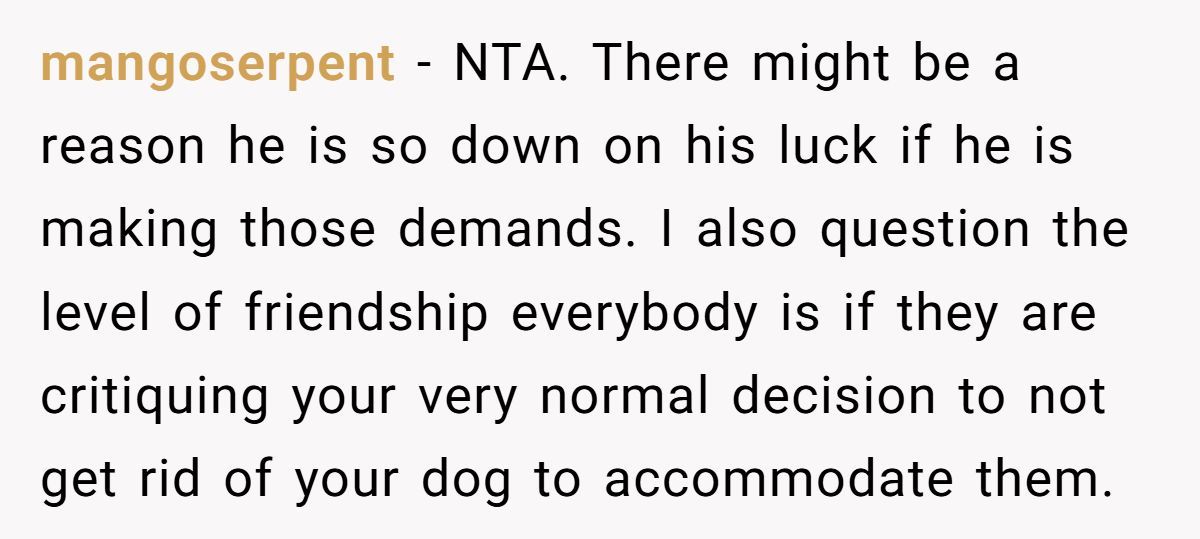 Man Won’t Kick Out His Dog for a Friend Going Through Divorce - Right Call or Cold-Hearted? Generated by Aubtu.biz
