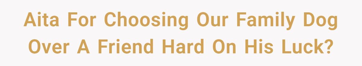 Man Won’t Kick Out His Dog for a Friend Going Through Divorce - Right Call or Cold-Hearted? Generated by Aubtu.biz